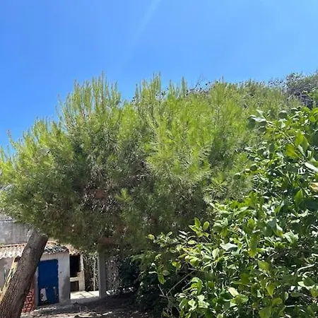 Seafront House Almadraba *