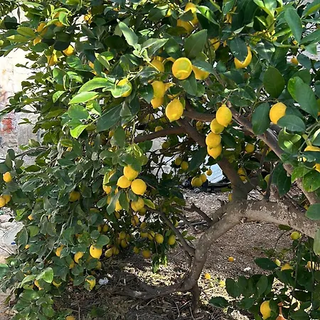 Seafront House Almadraba *